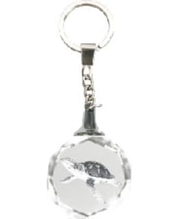 HO CRYSTAL SEA TURTLE AVAIMENPERÄ Main Image