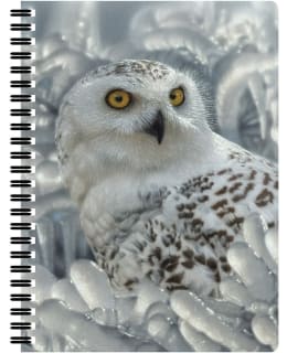 3D LIVELIFE SNOWY OWL MUISTIKIRJA Main Image