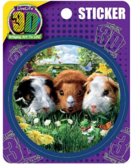 3D LIVELIFE GUINEA PIGS TARRAT Main Image