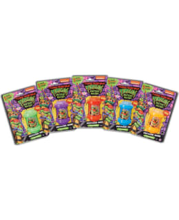 POCKET MONEY TURTLES LIMA Main Image