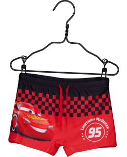 CARS DG-CARS-105A-PUN-116 UIMAHOUSUT Main Image