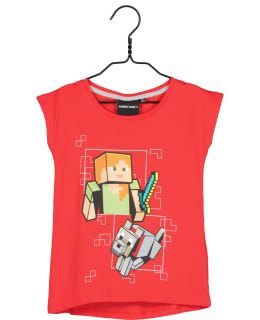 MINECRAFT GC-MNCT-252-PUN-128 L.T-PAITA Main Image