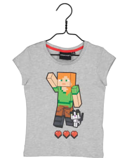 MINECRAFT GC-MNCT-253-HA-128 L.T-PAITA Main Image