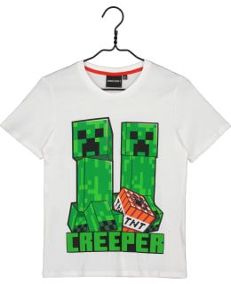 MINECRAFT DG-MNCT-107-VAL-128 L.T-PAITA Main Image