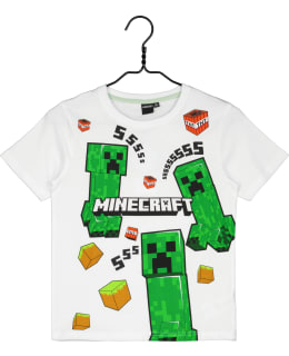 MINECRAFT EM-MNCT-276-VAL-152 P.T-PAITA Main Image