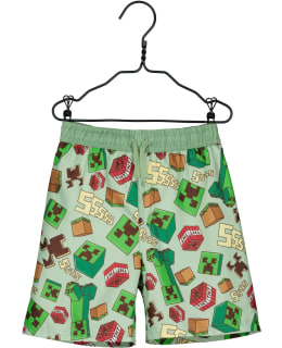 MINECRAFT GC-MNCT-399-VIH-128 L.UIMASHOR Main Image