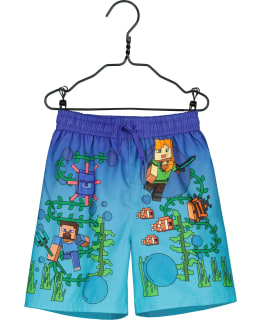 MINECRAFT GC-MNCT-400-SIN-134 L.UIMASHOR Main Image