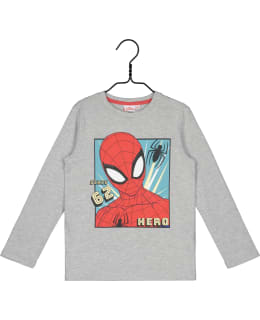 SPIDERMAN GS-SPDY-0001-HA-128 P.PAITA Main Image