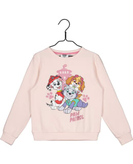 RYHMÄ HAU GS-PAWP-0007-VPU-110 T.COLPAIT Main Image