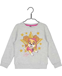 RYHMÄ HAU GS-PAWP-0008-VHA-116 T.COLPAIT Main Image