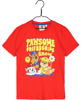 RYHMÄ HAU DG-PAWP-0003-PUN-110 P.T-PAITA Main Image