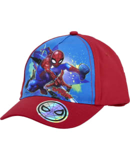 SPIDERMAN BB-SPDY-0005-PUN-52 P.LIPPIS Main Image