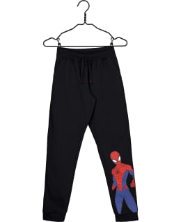 SPIDERM DG-SPDY-0019-MUS-134 L.COLHOUSUT Main Image