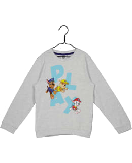 RYHMÄ H ML-PAWP-0038-HAR-116 L.C-PAITA Main Image