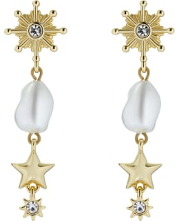 TED BAKER TBJ3486-02-163 DROP EARRING Main Image