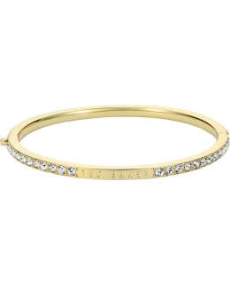 TED BAKER TBJ4062-02-02 BANGLE Main Image