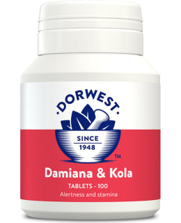 DH DAMIANA JA KOLA TABLETIT 100 KPL Main Image