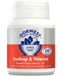 DH VUOHENJUURI-VALERIANA 100 TABL. Main Image