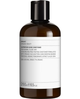 EVOLVE SUPERFOOD SHINE 250ML HOITOAINE Main Image