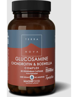 TERRANOVA GLUCOS, CHONDR-BOSWEL CMPX Main Image