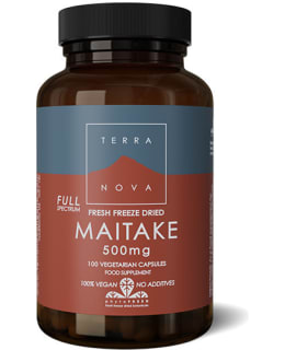 TERRANOVA MAITAKE 500MG 50KPS RAV.LISÄ Main Image