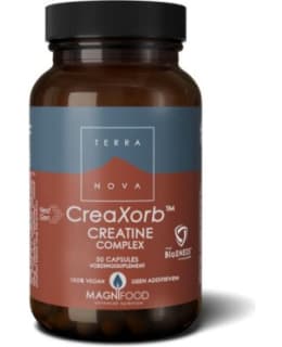 TERRANOVA NG CREAX CREATIN 50KAPS RAVLIS Main Image