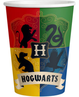 HARRY POTTER 8KPL PAHVIMUKI Main Image