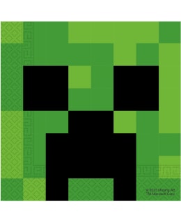 MINECRAFT 20KPL 33CM LAUTASLIINA Main Image