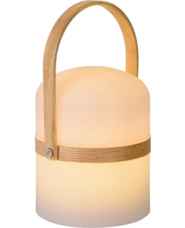 LUCIDE JOE PÖYTÄVALAISIN Main Image