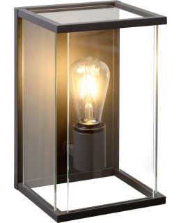 LUCIDE CLAIRE ULKOSEINÄVALAISIN Main Image