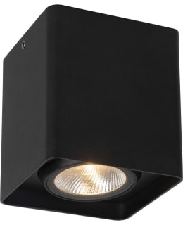Lucide Leeds 1xLED ulkokattovalaisin Main Image