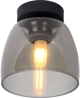 LUCIDE TYLER Ø16,1 MU PLAFONDI Main Image