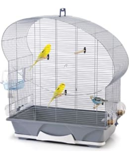 SAVIC ELLIPSE 50 HARMAA LINTUHÄKKI Main Image