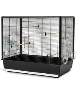 SAVIC PRIMO 60 KNOCKDOWN LINTUHÄKKI Main Image