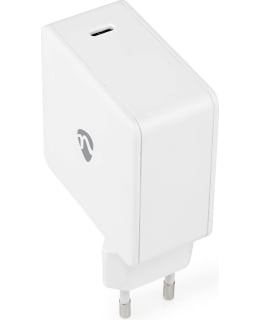 NEDIS WCGPD100W100WT SEINÄLATURI 100 W Main Image