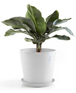 ECOPOTS FLOWERPOT AMSTERDAM 25CM WH Main Image