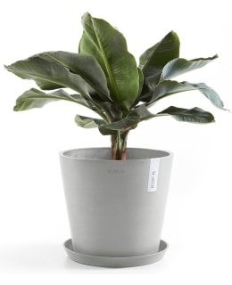 ECOPOTS AMSTERDAM 50CM VALKOHA RUUKKU Main Image