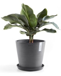 ECOPOTS FLOWERPOT AMSTERDAM 25CM GR Main Image