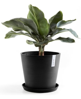 ECOPOTS AMSTERDAM 50CM T.HA RUUKKU Main Image