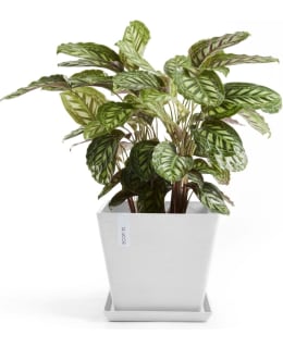 ECOPOTS FLOWERPOT ROTTERDAM 30CM WH Main Image