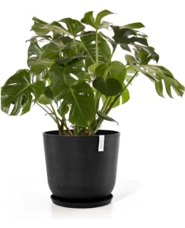 ECOPOTS FLOWERPOT OSLO 65CM D.GR Main Image