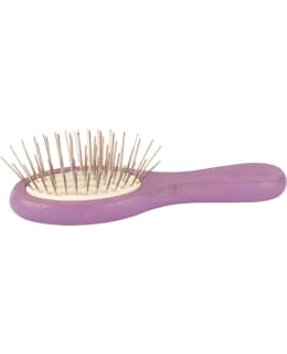 MINI OVAL PURPLE 12 CM Main Image