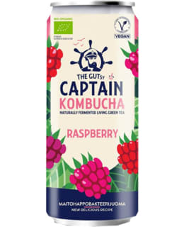 THE GUTSY RASPB LUOMU 250ML KOMBUCHA TLK Main Image