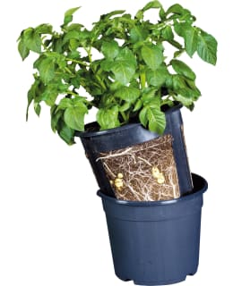 HORTEX POTATOPOT-PERUNAVILJELYRUUKKU Main Image