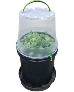 HORTEX GROWHOMEBUCKET-KOTIVILJELYÄMPÄRI Main Image