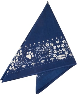 BF REPELTEC BANDANA 55X55CM T.SININEN Main Image