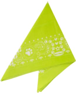 BF REPELTEC BANDANA 55X55CM GREEN Main Image