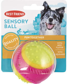 BF SENSORY BALL DOG BALL Main Image