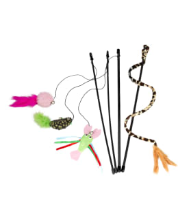 BF TRACKER KISSAN ONKILELU Main Image