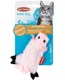 BEST FRIEND MINI PIG CAT TOY Main Image